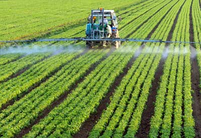 Roundup Injury Risks